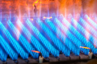 Horne gas fired boilers